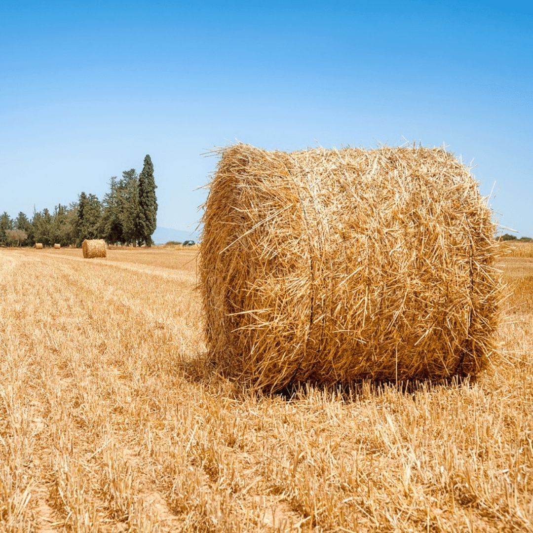 Mezőgazdasági biztosítások